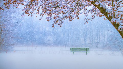 Обои зима, парк, скамейка, снегопад, winter, park, bench, snowfall разрешение 2010x1337 Загрузить