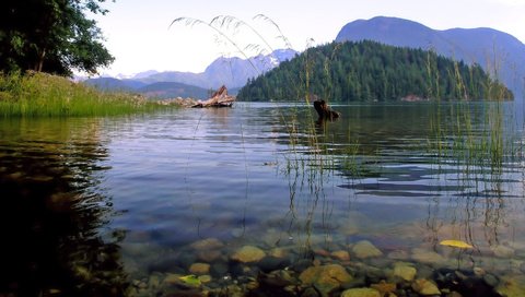 Обои вода, озеро, горы, холмы, озеро.холмы, water, lake, mountains, hills разрешение 1920x1080 Загрузить