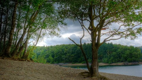 Обои река, березы, германия, северный рейн-вестфалия, river, birch, germany, north rhine-westphalia разрешение 2586x1720 Загрузить