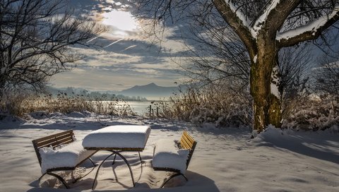 Обои деревья, солнце, снег, зима, красота, trees, the sun, snow, winter, beauty разрешение 1920x1200 Загрузить