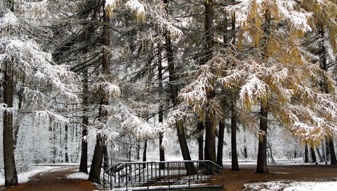 Обои деревья, снег, природа, зима, парк, мост, trees, snow, nature, winter, park, bridge разрешение 1920x1200 Загрузить