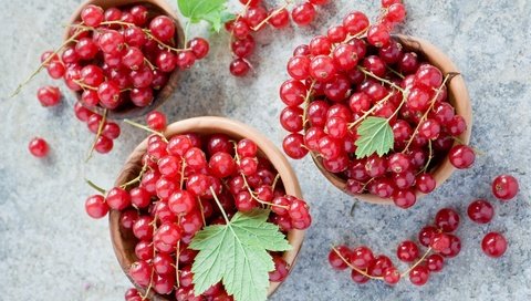 Обои ягода, красная, смородина, миски, berry, red, currants, bowls разрешение 2000x1377 Загрузить