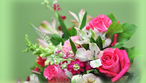 Обои цветы, фон, букет, flowers, background, bouquet разрешение 2048x1360 Загрузить
