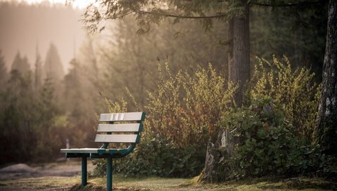 Обои парк, город, скамья, park, the city, bench разрешение 1920x1290 Загрузить