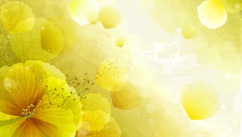 Обои желтые, арт.цветы, yellow, art.flowers разрешение 1920x1200 Загрузить