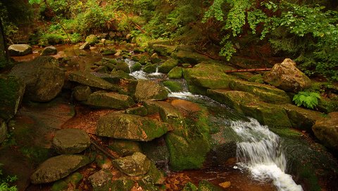 Обои камни, ручей, водопад, поток, мох, природа.вода, stones, stream, waterfall, moss, nature.water разрешение 1920x1200 Загрузить