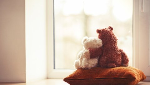 Обои мишки, игрушки, окно, подушка, мягкие, bears, toys, window, pillow, soft разрешение 4256x2832 Загрузить