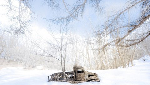 Обои деревья, снег, зима, машина, сугробы, грузовик, trees, snow, winter, machine, the snow, truck разрешение 1920x1080 Загрузить