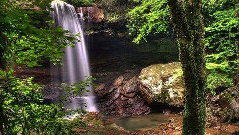 Обои деревья, вода, природа, камни, зелень, растения, водопад, trees, water, nature, stones, greens, plants, waterfall разрешение 1920x1200 Загрузить