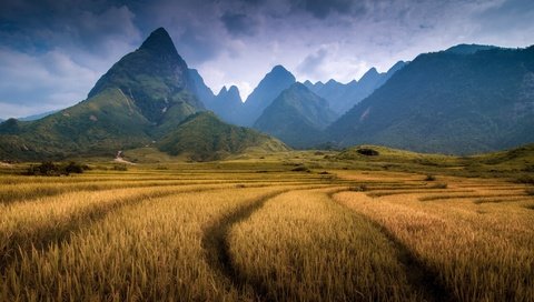 Обои горы, поле, гора, вьетнам, провинция лаокай, фаншипан, mountains, field, mountain, vietnam, province lao cai, fansipan разрешение 2048x1152 Загрузить