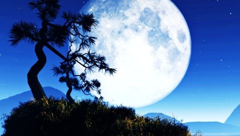 Обои небо, ночь, вода, природа, дерево, луна, остров, the sky, night, water, nature, tree, the moon, island разрешение 1920x1200 Загрузить
