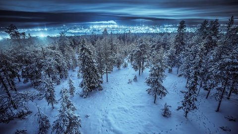 Обои ночь, деревья, снег, лес, зима, пейзаж, город, night, trees, snow, forest, winter, landscape, the city разрешение 2048x1322 Загрузить