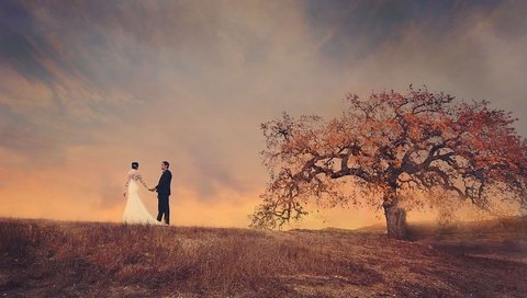 Обои небо, дерево, поле, пара, жених, невеста, свадебное платье, the sky, tree, field, pair, the groom, the bride, wedding dress разрешение 2048x1408 Загрузить