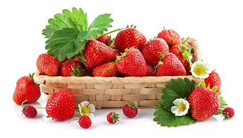 Обои цветы, клубника, зеленые, ягоды, листики, земляника, flowers, strawberry, green, berries, leaves, strawberries разрешение 5788x3540 Загрузить
