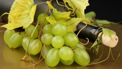 Обои листья, виноград, белый, вино, белое, бутылка, усики, пробка, leaves, grapes, white, wine, bottle, antennae, tube разрешение 1920x1280 Загрузить