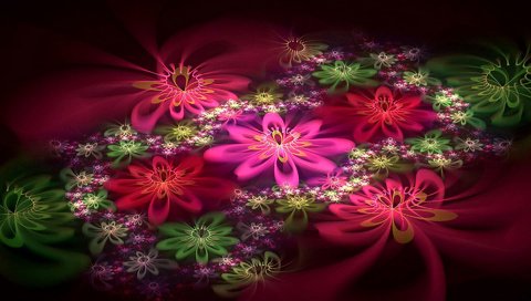Обои свет, цветы, лепестки, цвет, узоры, фрактал, light, flowers, petals, color, patterns, fractal разрешение 1920x1200 Загрузить