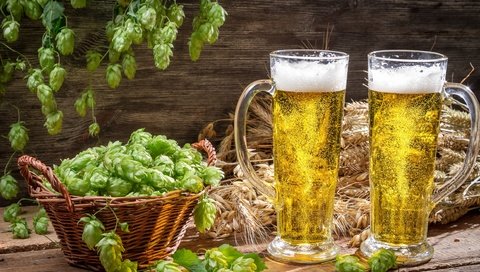 Обои кружки, пиво, пена, корзинка, хмель, светлое, mugs, beer, foam, basket, hops, light разрешение 4600x3067 Загрузить