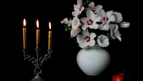 Обои цветы, свечи, черный фон, ваза, подсвечник, мальва, flowers, candles, black background, vase, candle holder, mallow разрешение 1920x1200 Загрузить