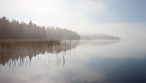 Обои небо, деревья, река, отражение, пейзаж, туман, the sky, trees, river, reflection, landscape, fog разрешение 3360x2100 Загрузить