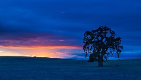 Обои небо, дерево, закат, пейзаж, поле, сша, калифорния, сан-бенито, the sky, tree, sunset, landscape, field, usa, ca, san benito разрешение 3600x2400 Загрузить