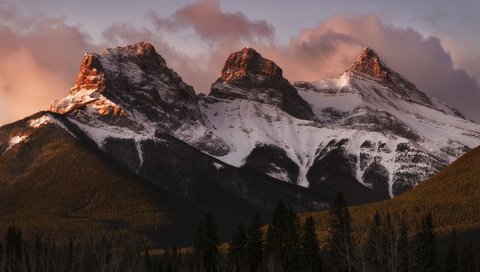 Обои деревья, горы, снег, природа, пейзаж, trees, mountains, snow, nature, landscape разрешение 2048x1266 Загрузить