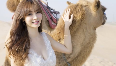 Обои девушка, животные, пустыня, азиатка, верблюд, girl, animals, desert, asian, camel разрешение 2880x1800 Загрузить