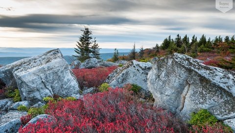 Обои горы, медвежьи скалы, mountains, bear rocks разрешение 1920x1080 Загрузить