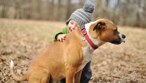 Обои настроение, собака, радость, ребенок, мальчик, друг, mood, dog, joy, child, boy, each разрешение 1920x1200 Загрузить