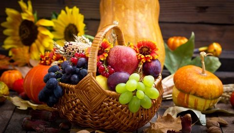 Обои красотуля, цветы, ягоды, листья, яблоко, орехи, урожай, виноград, овощи, фрукты, яблок, тыква, яблоки, натюрморт, корзина,  цветы, осен, подсолнухи, flowers, berries, leaves, apple, nuts, harvest, grapes, vegetables, fruit, pumpkin, apples, still life, basket, autumn, sunflowers разрешение 2880x1920 Загрузить