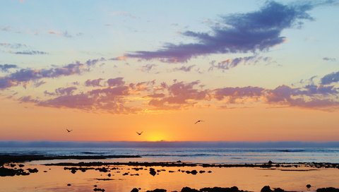 Обои море, пляж, рассвет, чайки, sea, beach, dawn, seagulls разрешение 4874x2655 Загрузить