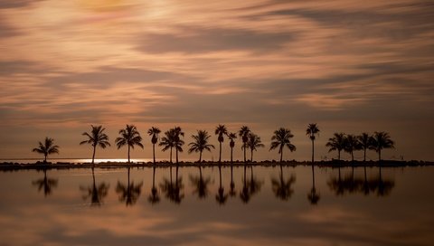 Обои закат, отражение, пальмы, атлантический океан, майами, штат флорида, sunset, reflection, palm trees, the atlantic ocean, miami, florida разрешение 3600x2241 Загрузить