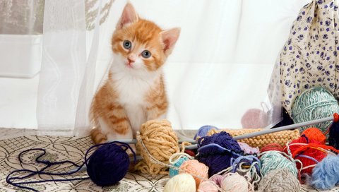 Обои кошка, котенок, рыжий котенок, пряжа, cat, kitty, ginger kitten, yarn разрешение 1920x1080 Загрузить