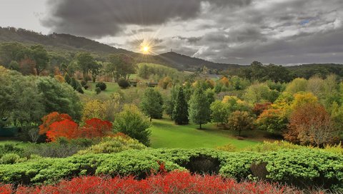 Обои пейзаж, осень, lofty botanic gardens, аделаида-хиллс, южная австралия, landscape, autumn, adelaide hills, south australia разрешение 2256x1496 Загрузить