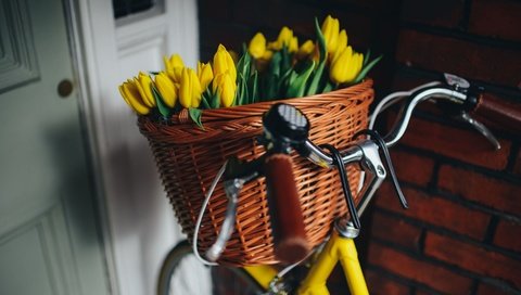 Обои цветы, корзина, тюльпаны, красивые, велосипед, flowers, basket, tulips, beautiful, bike разрешение 2880x1922 Загрузить