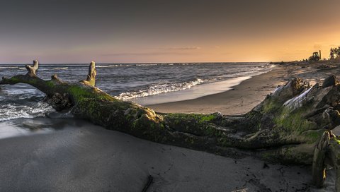 Обои волны, закат, море, пляж, корсика, wave, sunset, sea, beach, corsica разрешение 2414x1200 Загрузить