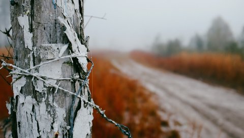 Обои дорога, природа, туман, проволока, забор, колючая проволока, столб, road, nature, fog, wire, the fence, barbed wire, post разрешение 2048x1365 Загрузить