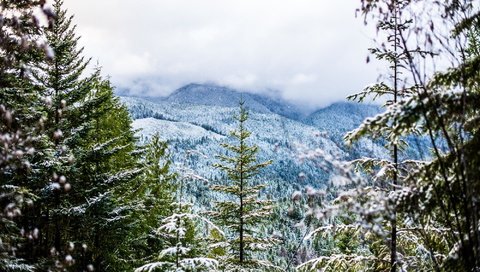 Обои горы, снег, зима, пейзаж, туман, mountains, snow, winter, landscape, fog разрешение 2000x1335 Загрузить