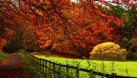Обои дорога, деревья, пейзаж, осень, road, trees, landscape, autumn разрешение 5184x3456 Загрузить