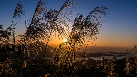 Обои небо, трава, вечер, солнце, закат, тучи, поле, луг, the sky, grass, the evening, the sun, sunset, clouds, field, meadow разрешение 2880x1800 Загрузить