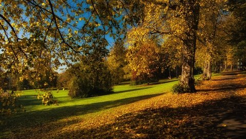 Обои деревья, листья, парк, ветки, осень, trees, leaves, park, branches, autumn разрешение 2024x1347 Загрузить