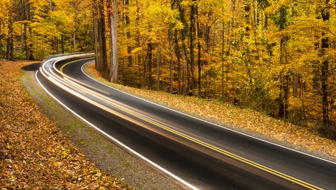 Обои дорога, деревья, природа, листья, парк, осень, road, trees, nature, leaves, park, autumn разрешение 2048x1294 Загрузить