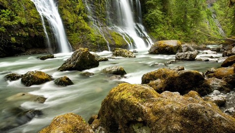 Обои деревья, река, камни, лес, водопад, trees, river, stones, forest, waterfall разрешение 1920x1080 Загрузить