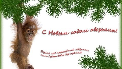 Обои новый год, обезьяна, пожелание, new year, monkey, wish разрешение 1920x1200 Загрузить