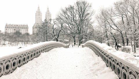 Обои снег, зима, мост, чёрно-белое, нью йорк, центральный парк, snow, winter, bridge, black and white, new york, central park разрешение 1920x1200 Загрузить