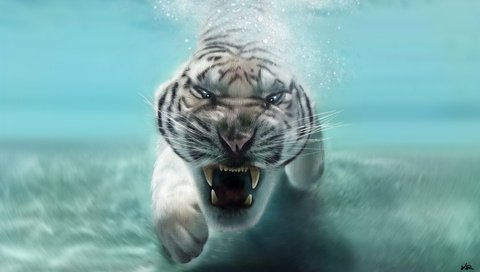 Обои морда, клыки, хищник, животное, пасть, белый тигр, в воде, face, fangs, predator, animal, mouth, white tiger, in the water разрешение 1920x1080 Загрузить