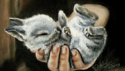 Обои рука, маленький, человек, ушки, живопись, лапки, крольчонок, hand, small, people, ears, painting, legs, rabbit разрешение 2100x1600 Загрузить