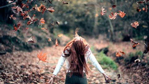 Обои листья, девушка, осень, свобода, leaves, girl, autumn, freedom разрешение 2048x1365 Загрузить