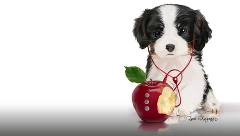 Обои арт, музыка, наушники, щенок, яблоко, плеер, детская. lorri kajenna, art, music, headphones, puppy, apple, player, children's. lorri kajenna разрешение 2330x1278 Загрузить