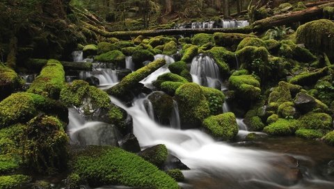 Обои вода, река, камни, зелень, лес, мох, water, river, stones, greens, forest, moss разрешение 2048x1365 Загрузить