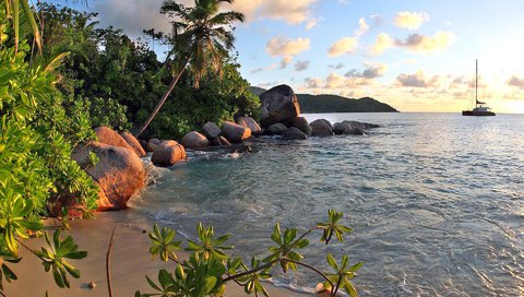 Обои камни, берег, море, лодка, пальмы, stones, shore, sea, boat, palm trees разрешение 1920x1440 Загрузить